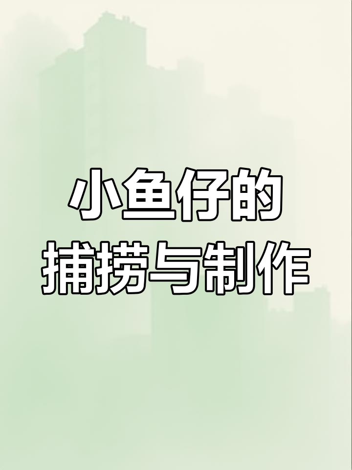 深海小鱼捕捞与加工全过程,如何制作美味的小鱼干零食