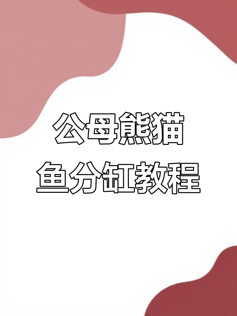 熊猫鱼公母分缸技巧，隔板制作全解析