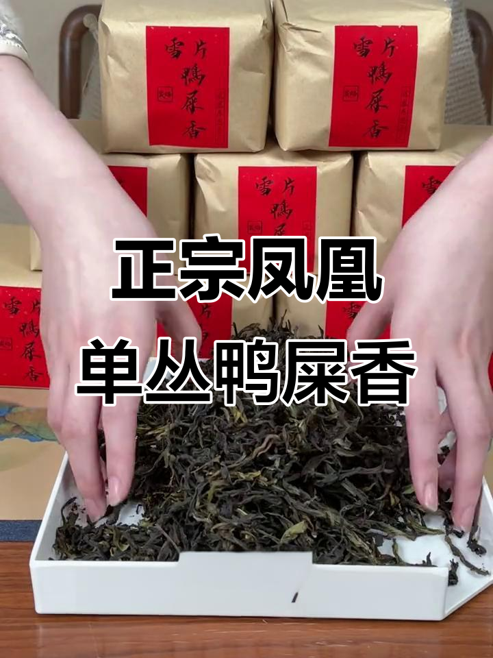 潮州凤凰单丛鸭屎香,兰花香与奶香的完美结合