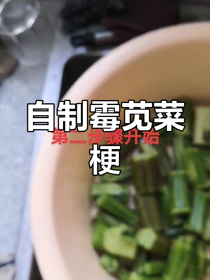 嘉兴特色霉苋菜梗,48小时发酵后香气扑鼻