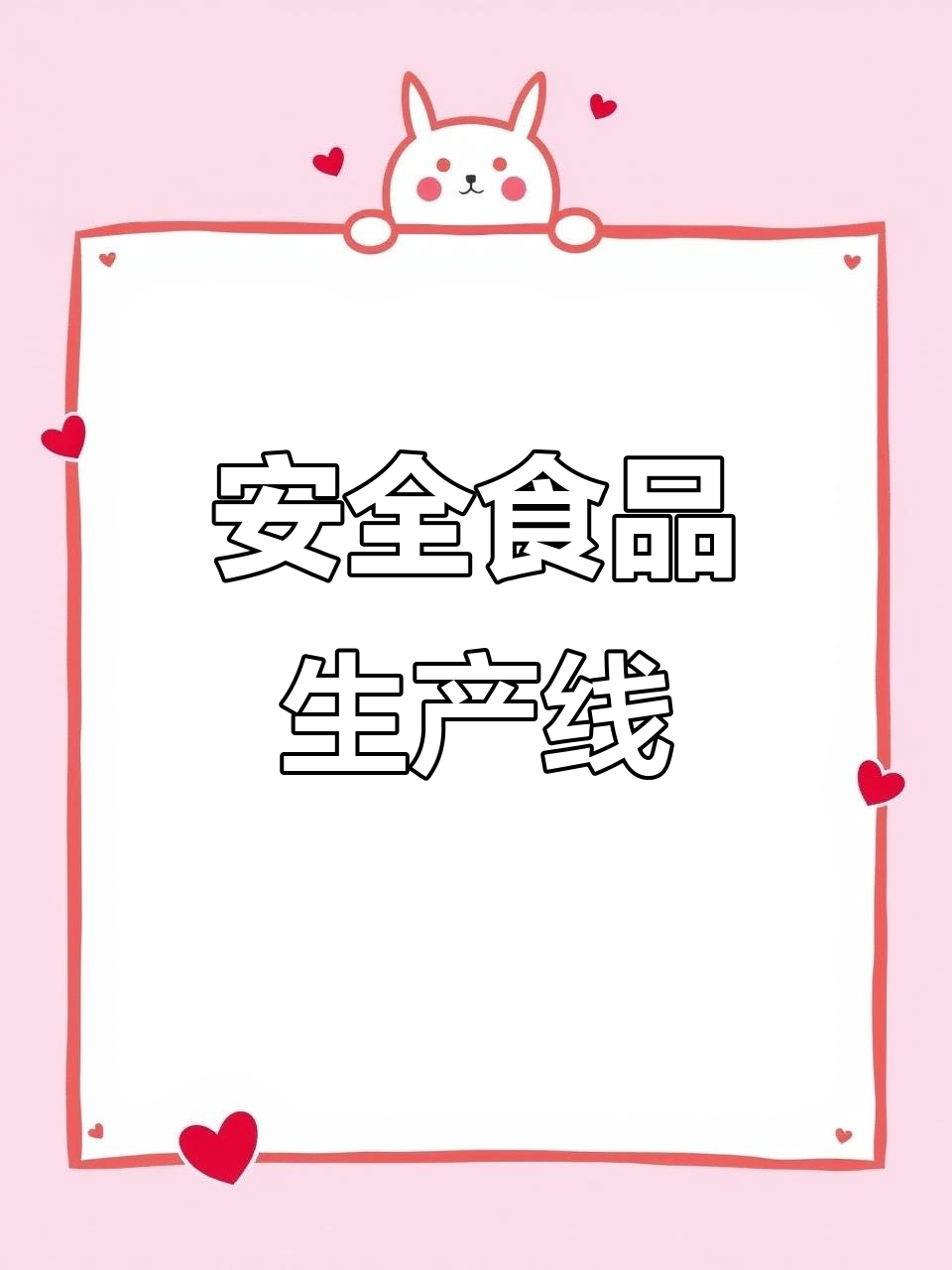 食品生产线,直接接触无尘操作,满足严格安全标准
