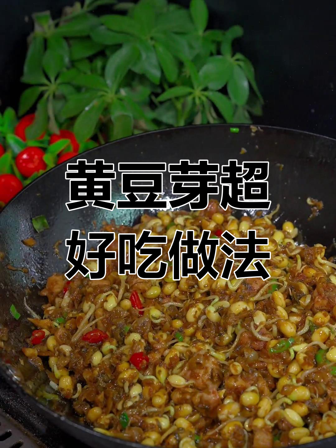 五块钱黄豆芽炒出美味下饭新吃法,家常菜轻松做