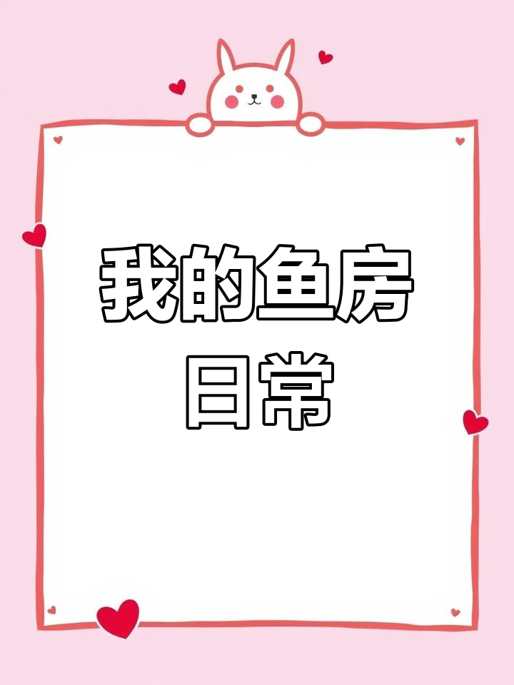鱼房造景与电费揭秘,湿度问题如何解决