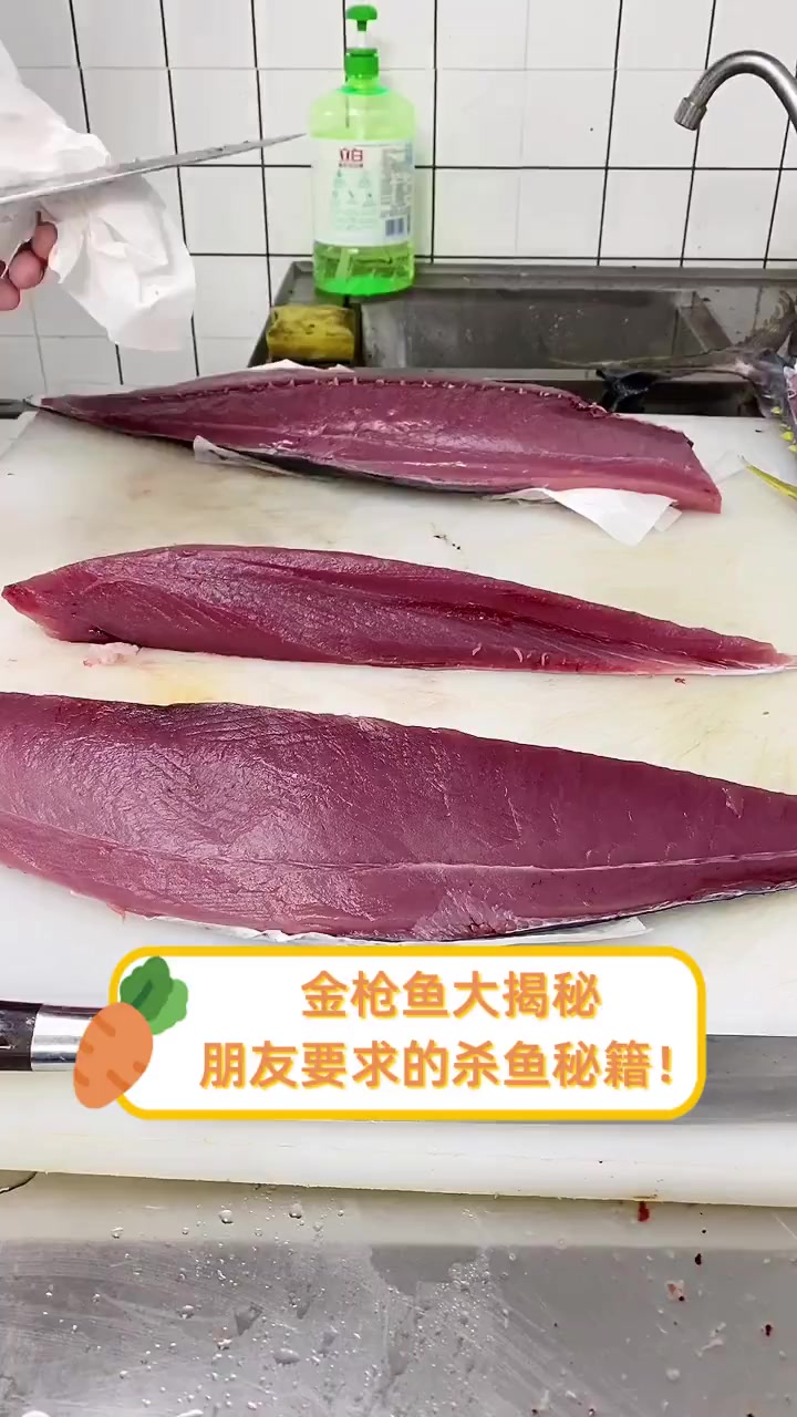 金枪鱼大揭秘,朋友要求的杀鱼秘籍!