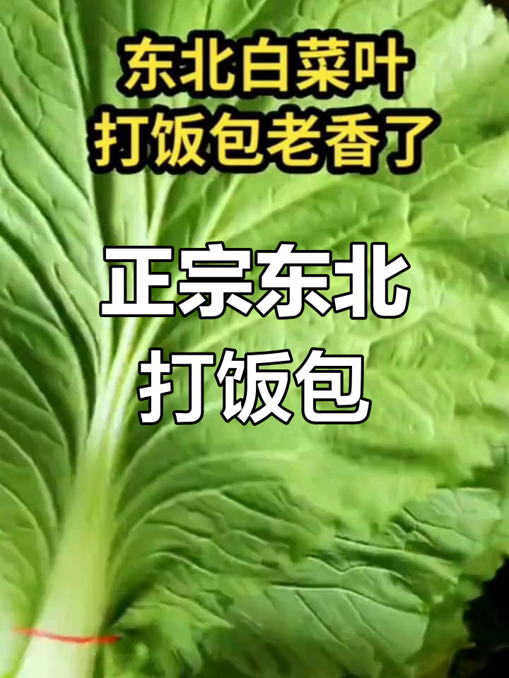 东北打饭包大白菜叶,配炸鸡蛋酱和土豆米饭,香得让人怀念