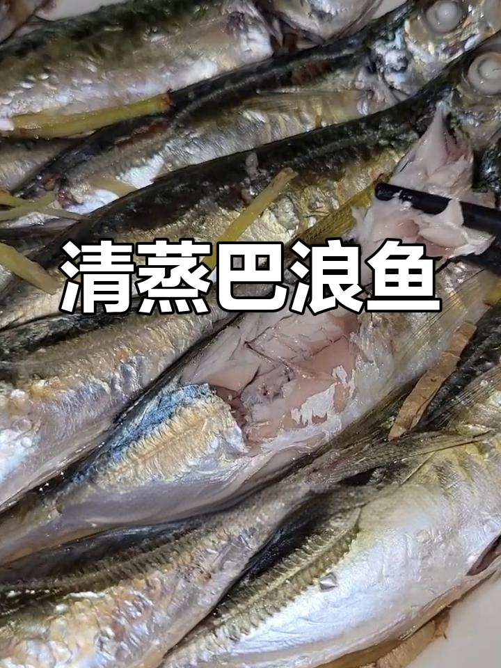 潮汕人最爱的清蒸巴浪鱼,搭配普宁豆酱更美味