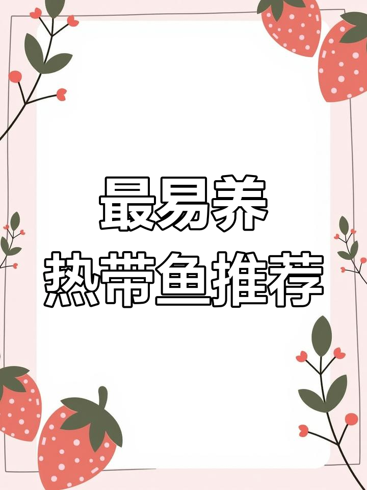 十大最容易养的热带鱼,新手必看!