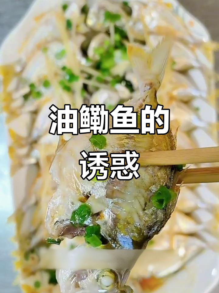 油鳓鱼虽小,却鲜美至极,清蒸煲汤皆令人陶醉