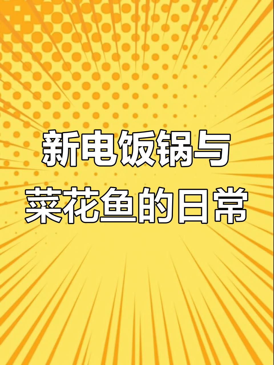 老板娘带路买菜花鱼,电饭锅新买体验