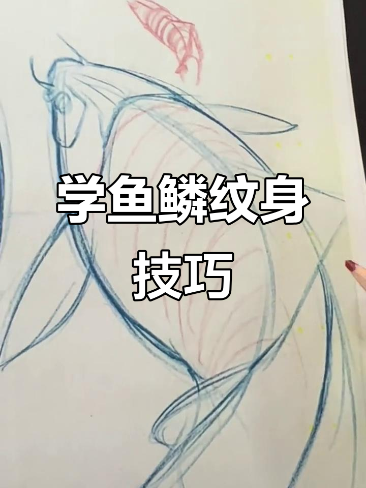 鱼鳞画法技巧解析,掌握这些步骤轻松画出栩栩如生的鱼类纹身