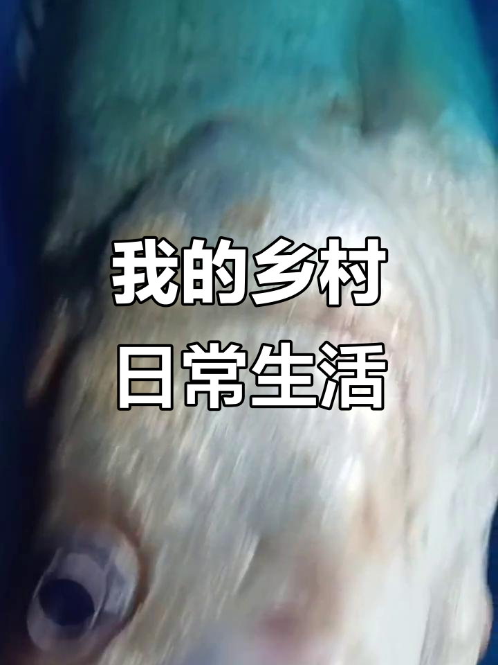 农村生活日常:从牙肿到红烧鱼,每天都记录真实故事