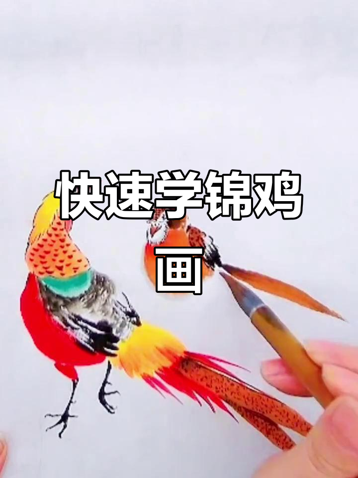 一分钟学会锦鸡画法，简单步骤教你画出栩栩如生的国画