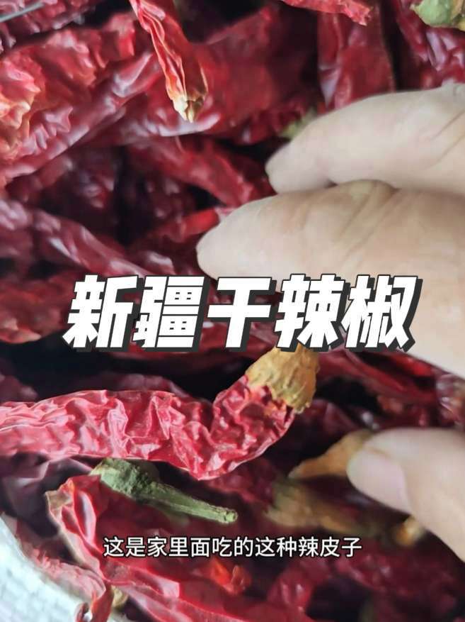 新疆昌吉的油罐红长线椒中辣,个头大,炒大盘鸡辣子鸡的好东西 品质很好干干净净,全国包邮 干