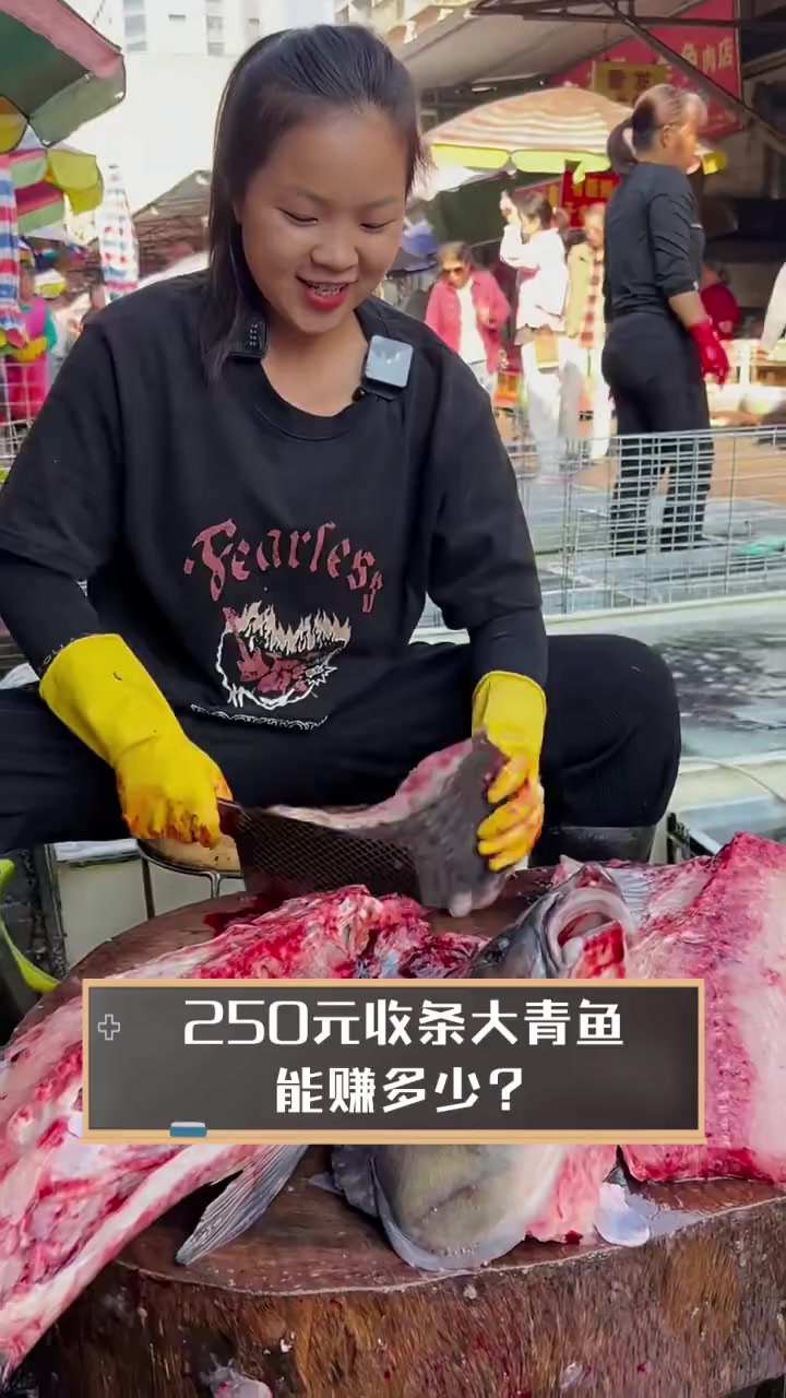 250元收条大青鱼,能赚多少?