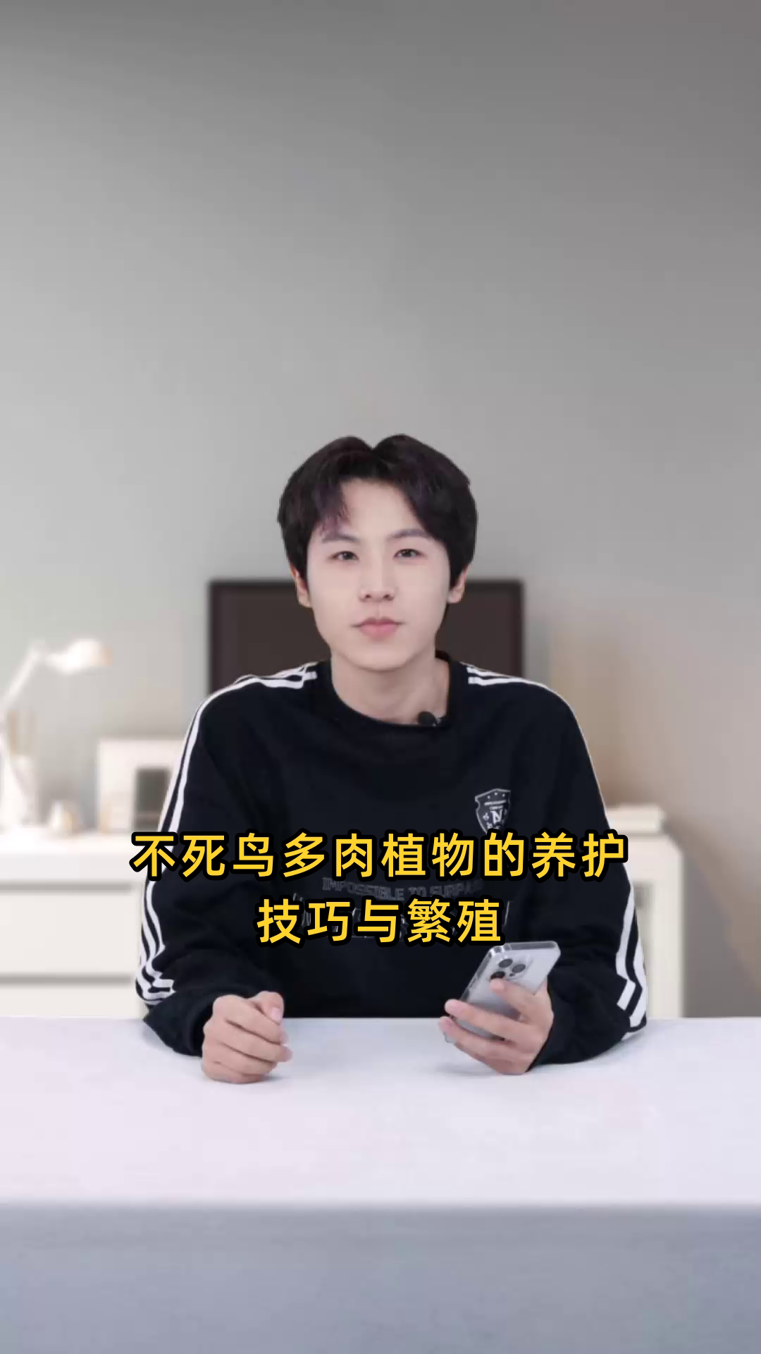 不死鸟多肉植物的养护技巧与繁殖方法是什么?