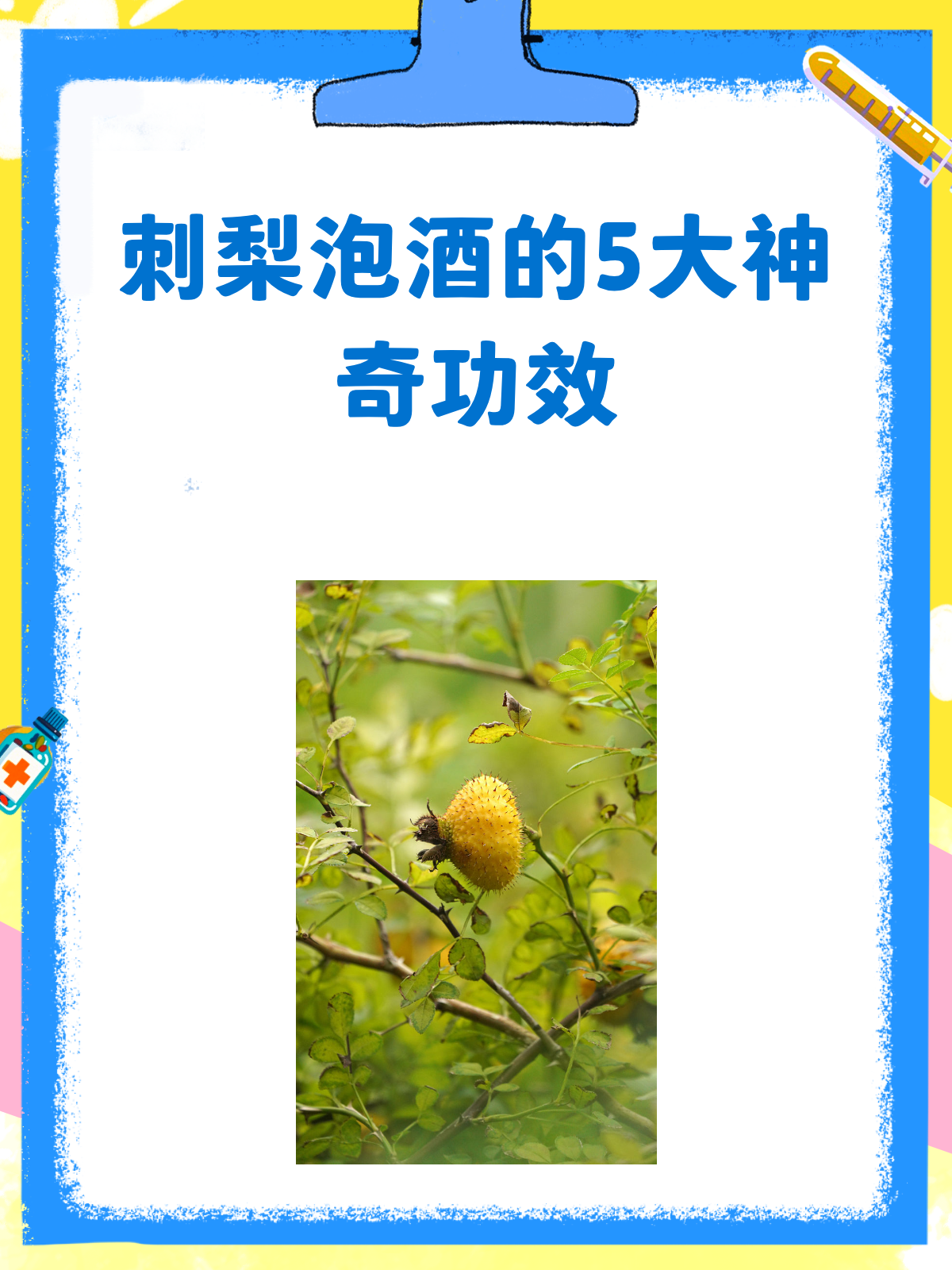 刺梨泡酒,你喝过吗?竟然有这么多好处!