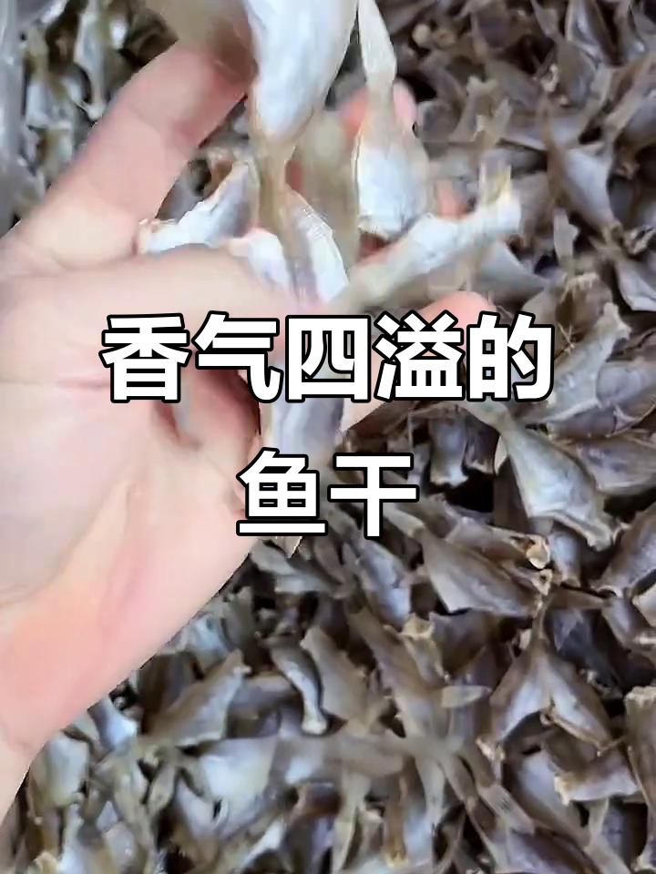 太阳晒干的鱼干,煎炒皆宜,配饭夹馍超香!