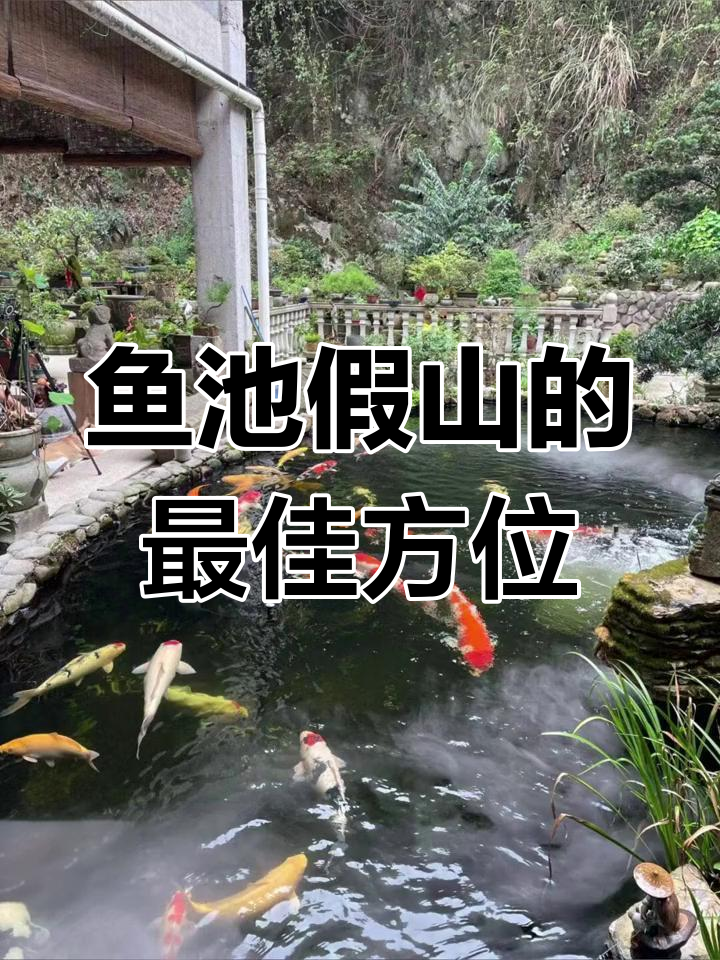 庭院鱼池假山布局风水解析