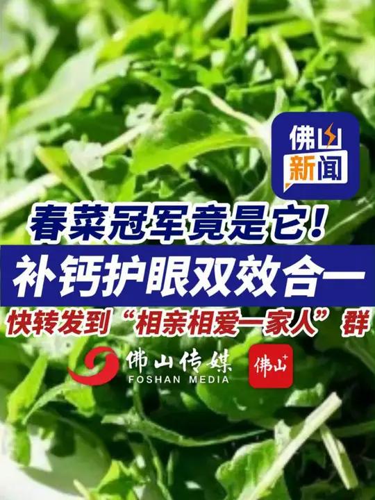 春菜冠军竟是它!补钙护眼双效合一,快转发到“相亲相爱一家人”群(实习编辑:敬铃伶;责编:曾