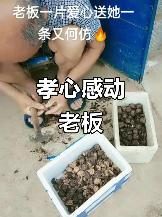 七旬老人带着母亲捡死鱼,老板感动送大鱼