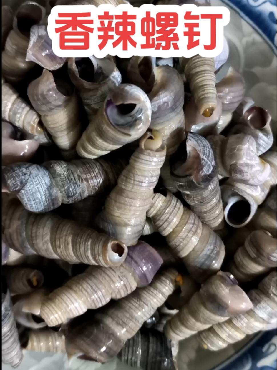 螺钉这样炒才有湖南味 谁懂这一口的好吃程度 你们吃过吗 海螺