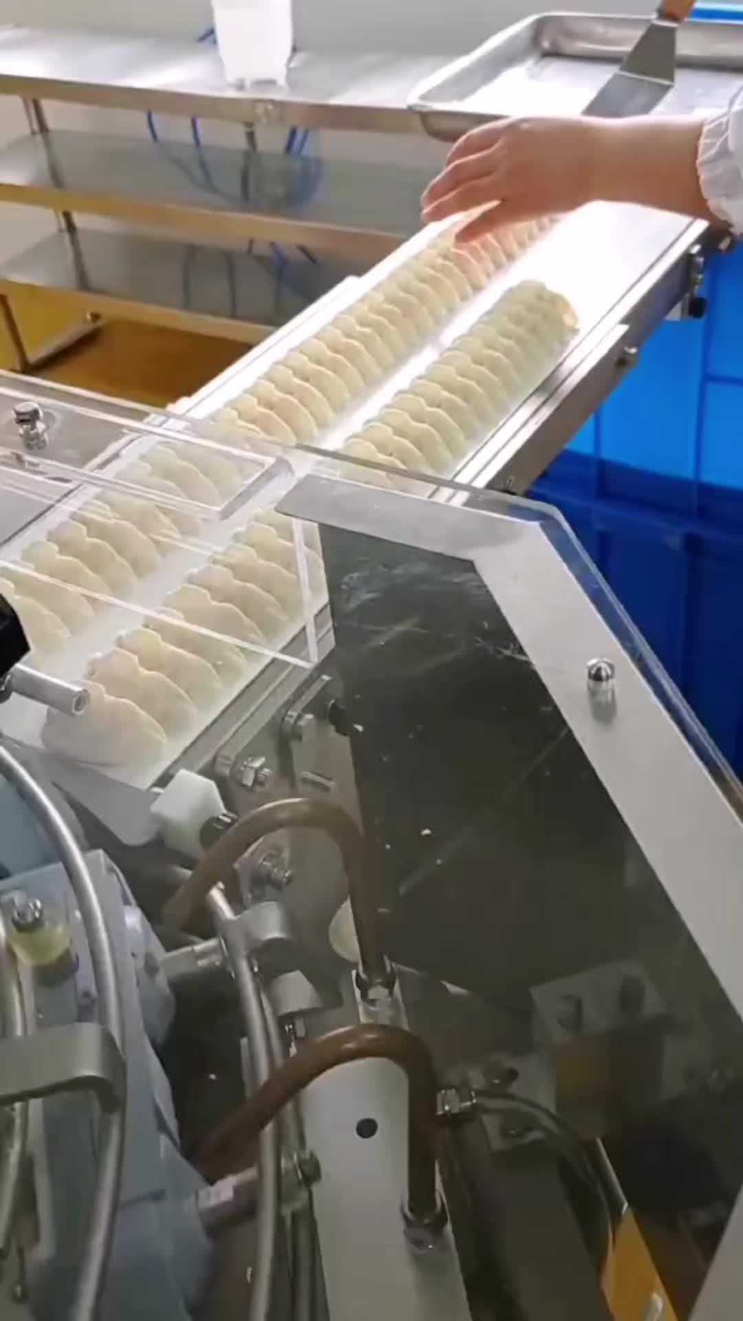包饺子神器 自动化生产线 煎饺机 一机多用省时省力省人工 摆盘机
