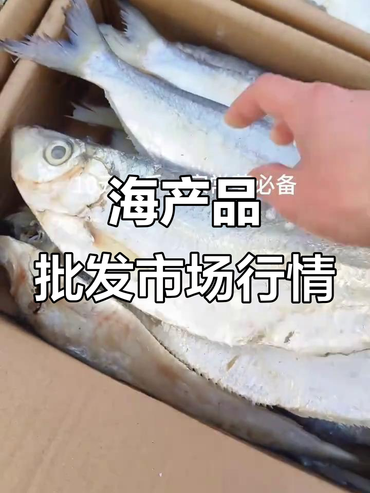 12月海产干货价格大揭秘,带鱼、白鳞鱼等年货热销