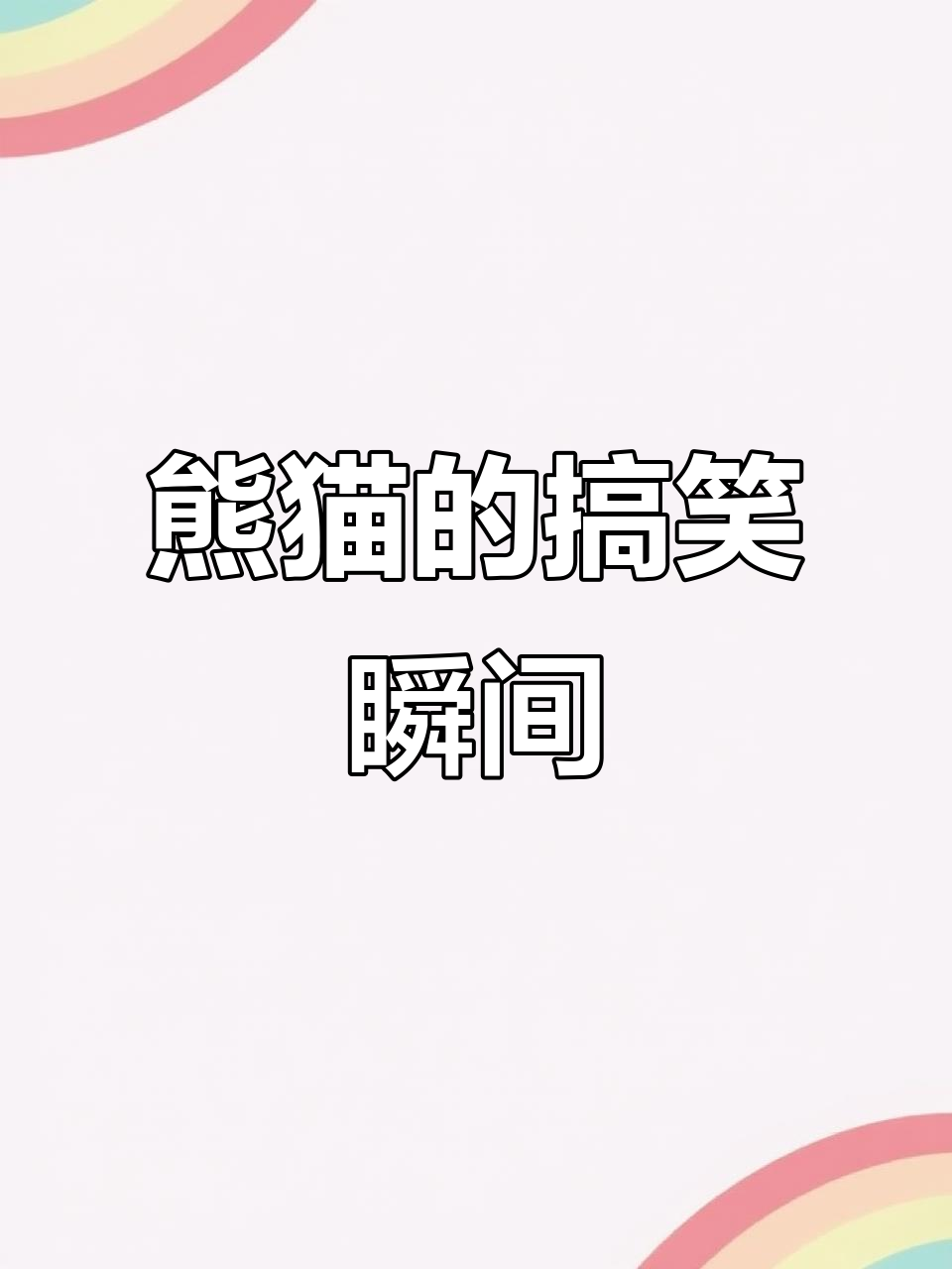 每次偷吃,熊猫派派的屁股总是对着我!公园垃圾别乱扔