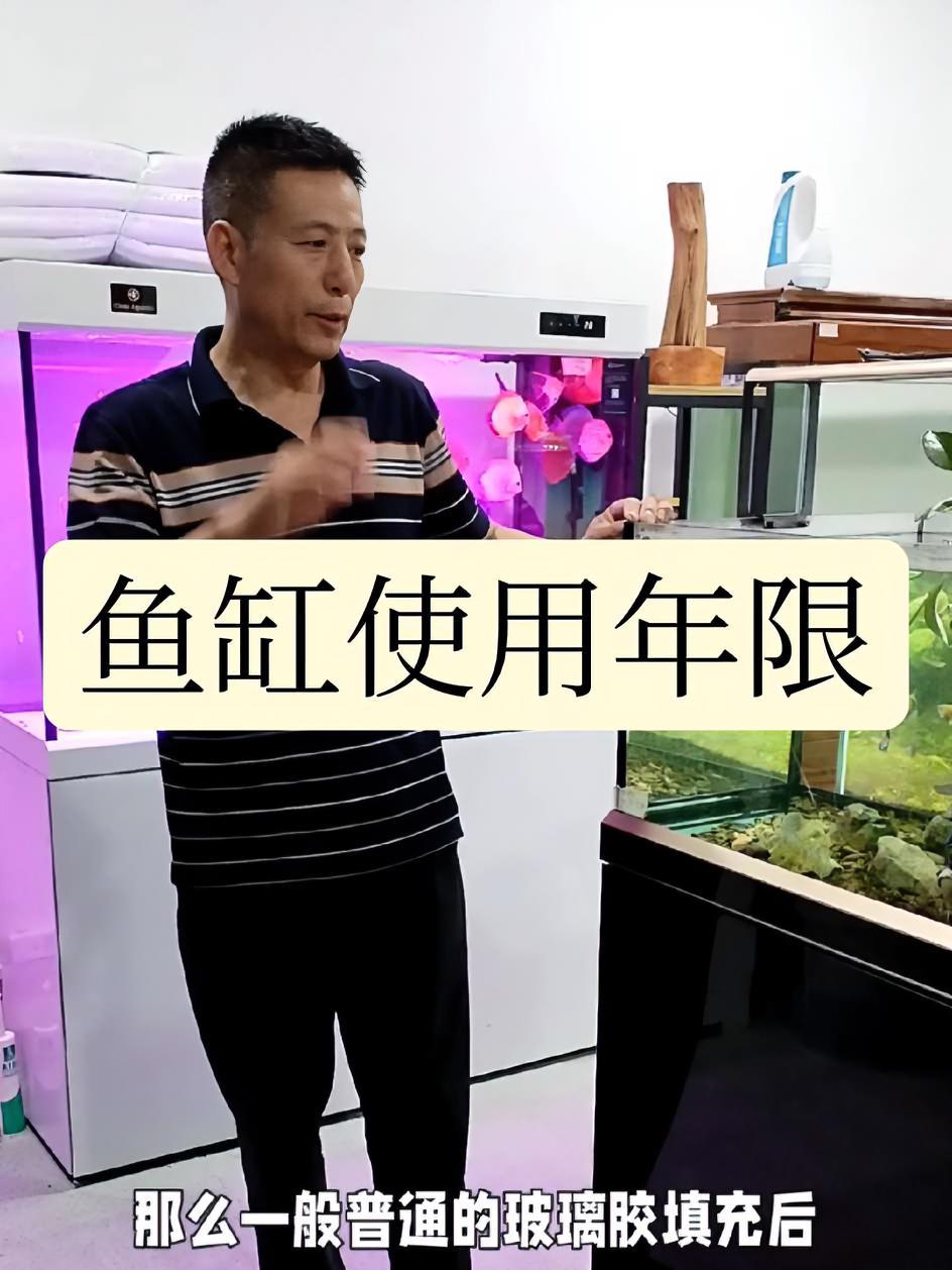 鱼缸使用的寿命与哪些有关系？玻璃厚度支撑架子还是工艺玻璃胶，你了解吗？养鱼日记 原创视频 