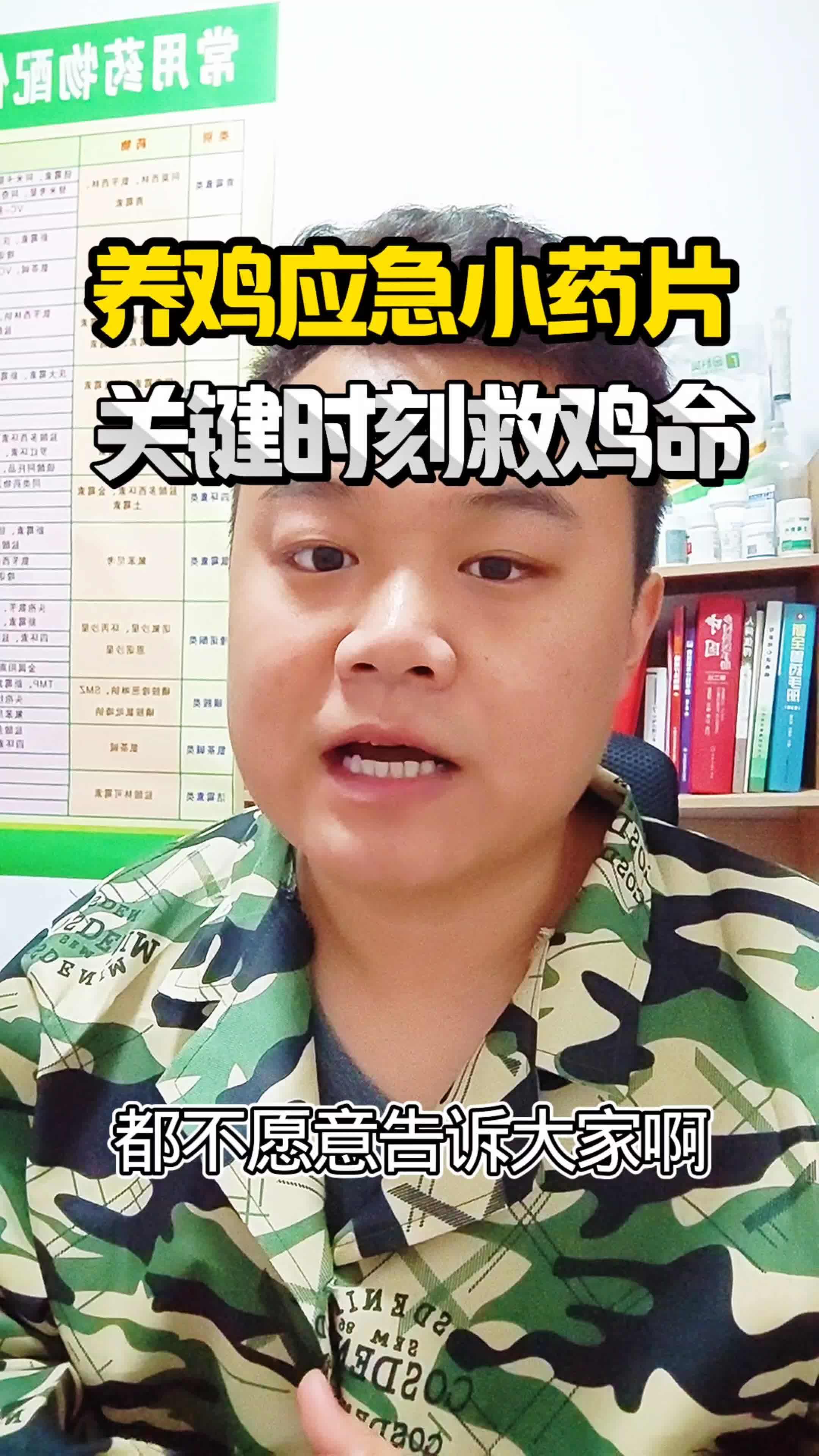 养鸡 散养土鸡 鸡鸭鹅养殖 鸡病防治 养鸡技术