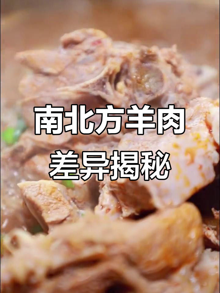 南北羊肉口感大不同,宁夏滩羊等你来尝