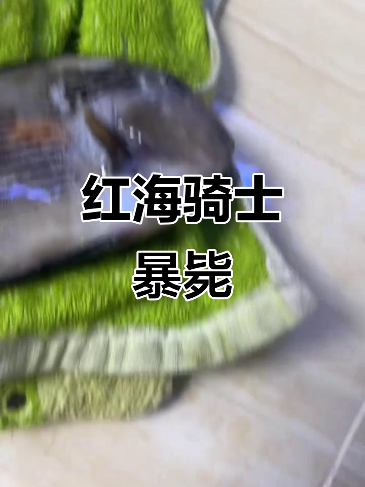 红海骑士意外死亡,大师风采尽显