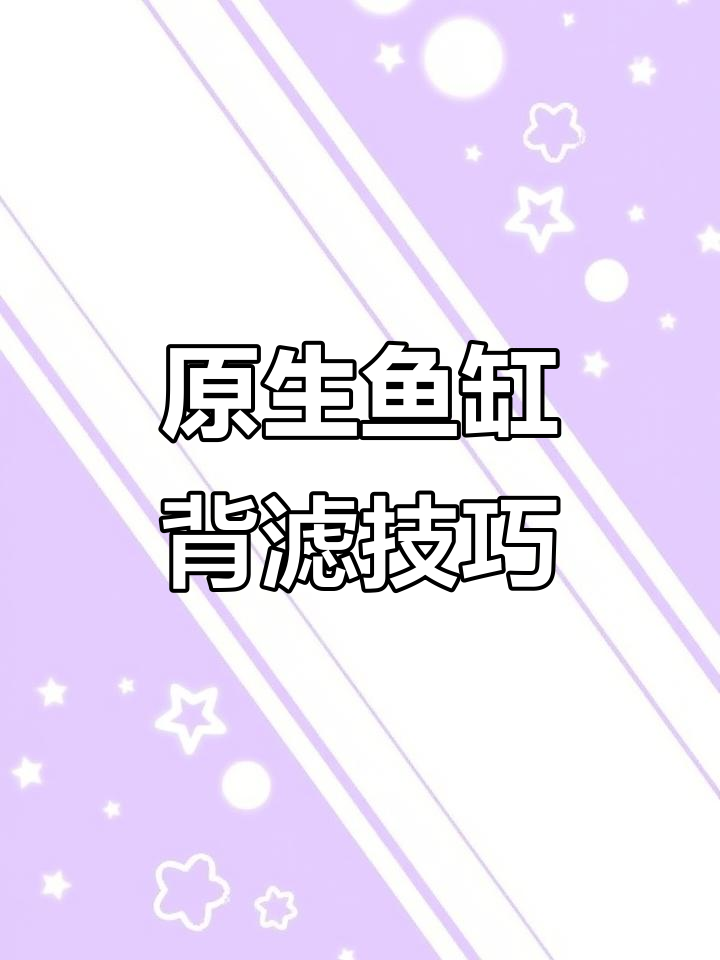 背滤盒造景全攻略,轻松打造原生鱼缸美景