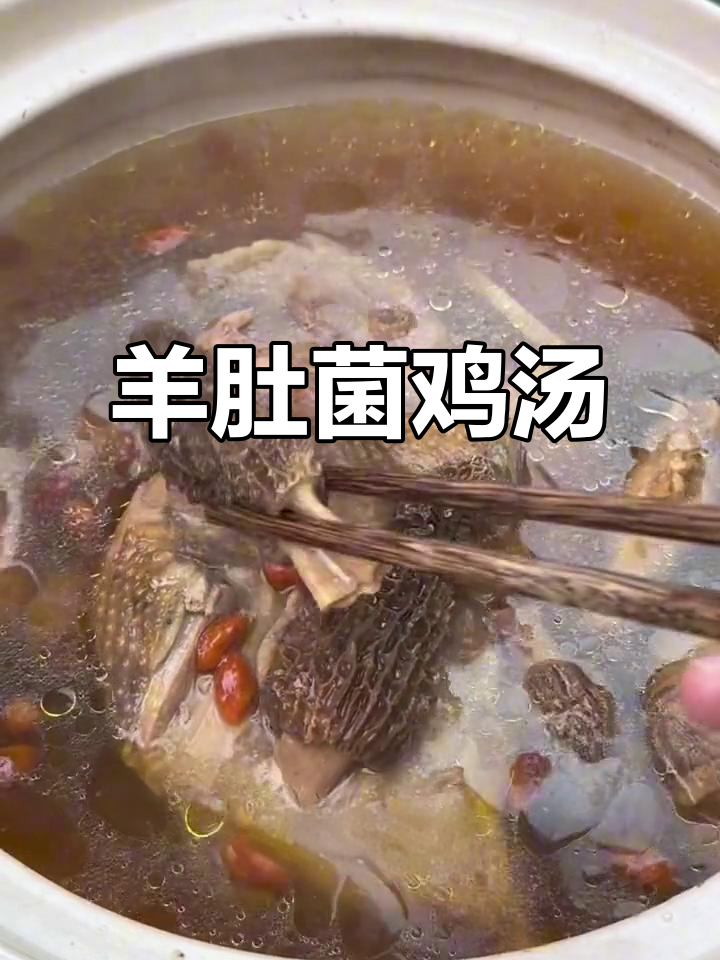 孩子长个必备!羊肚菌炖汤,营养满满又美味