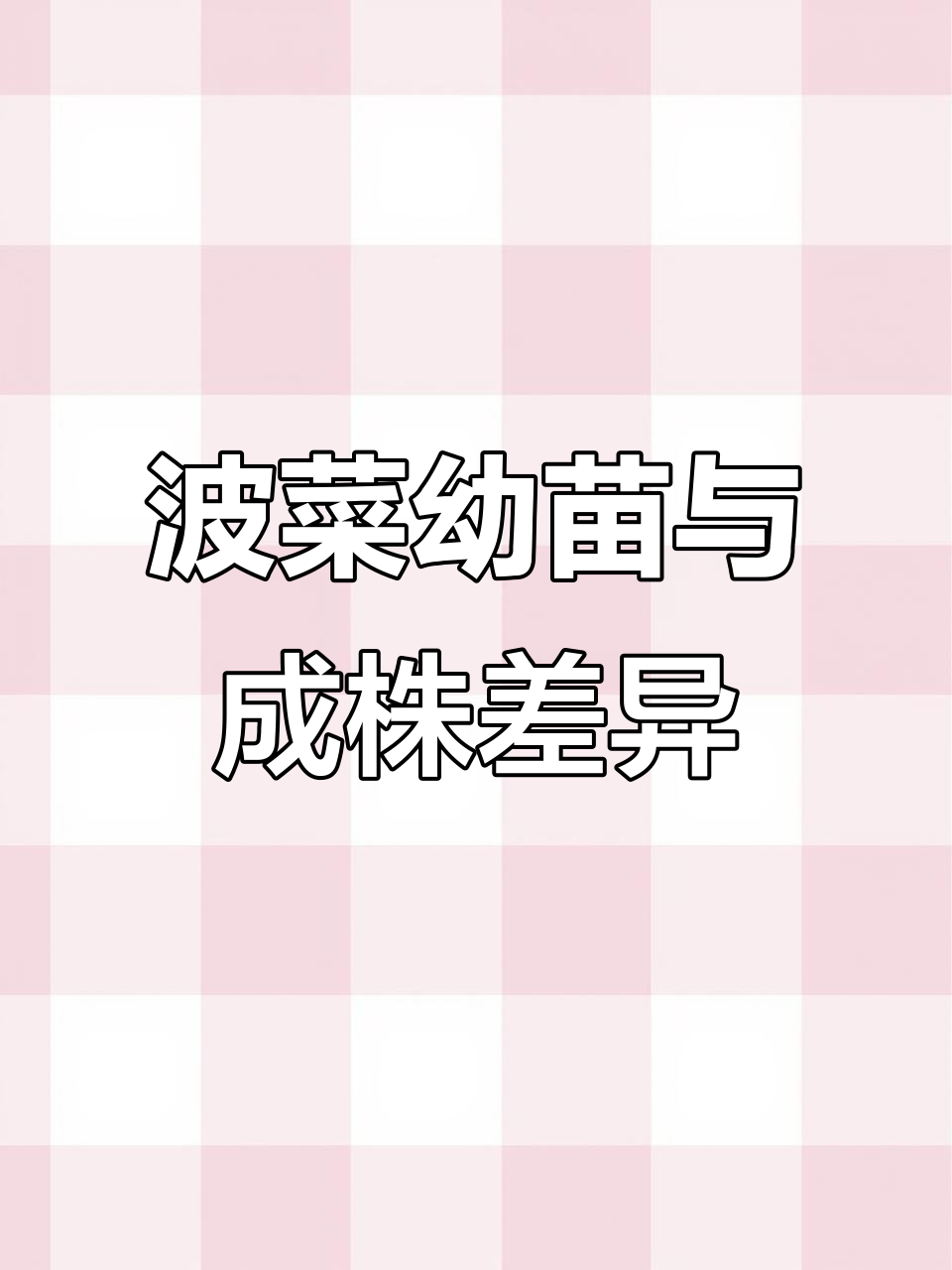 菠菜种子发芽过程,竟然和长大后的样子差别这么大!