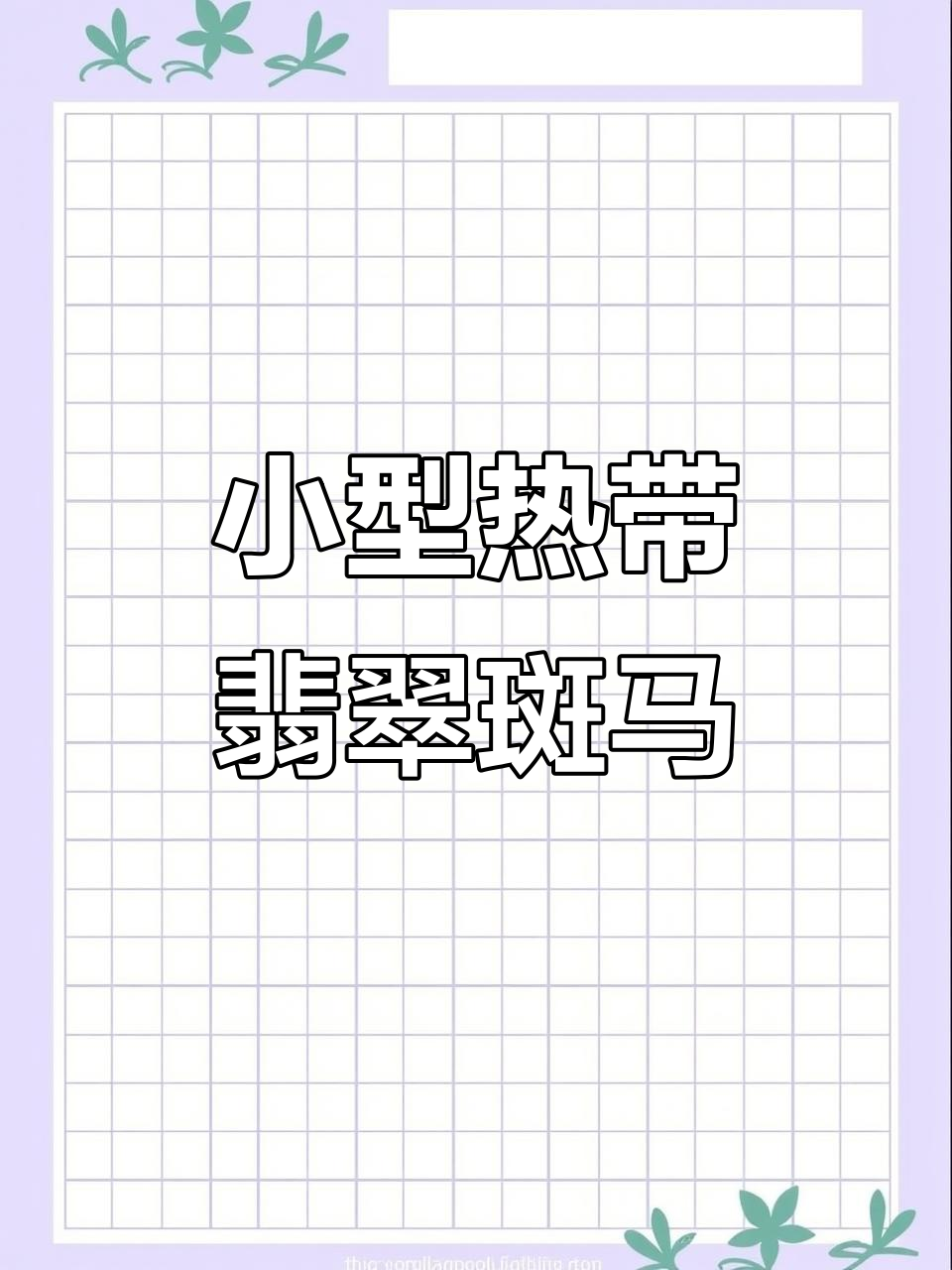 翡翠斑马鱼:小型热带观赏鱼的理想选择,适合10度以上水温