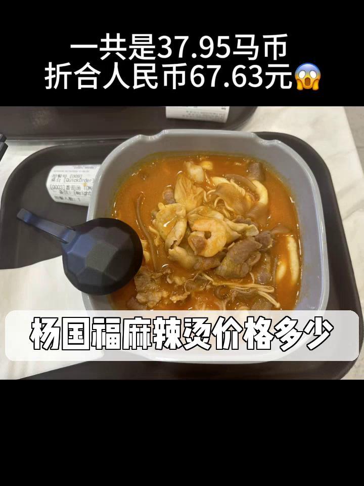 杨国福麻辣烫价格多少
