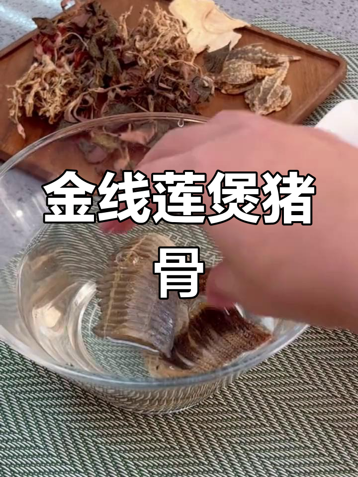 广东经典金线莲彭鱼鳃汤,滋补又美味
