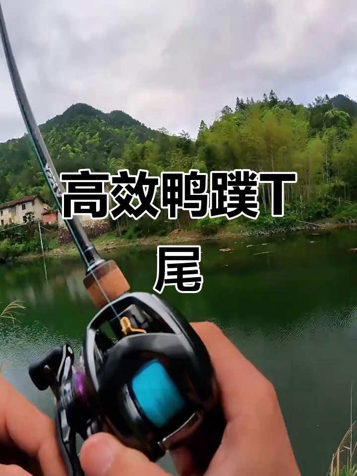 强哥的鸭蹼T尾,高效率引爆鳜鱼圈热潮!