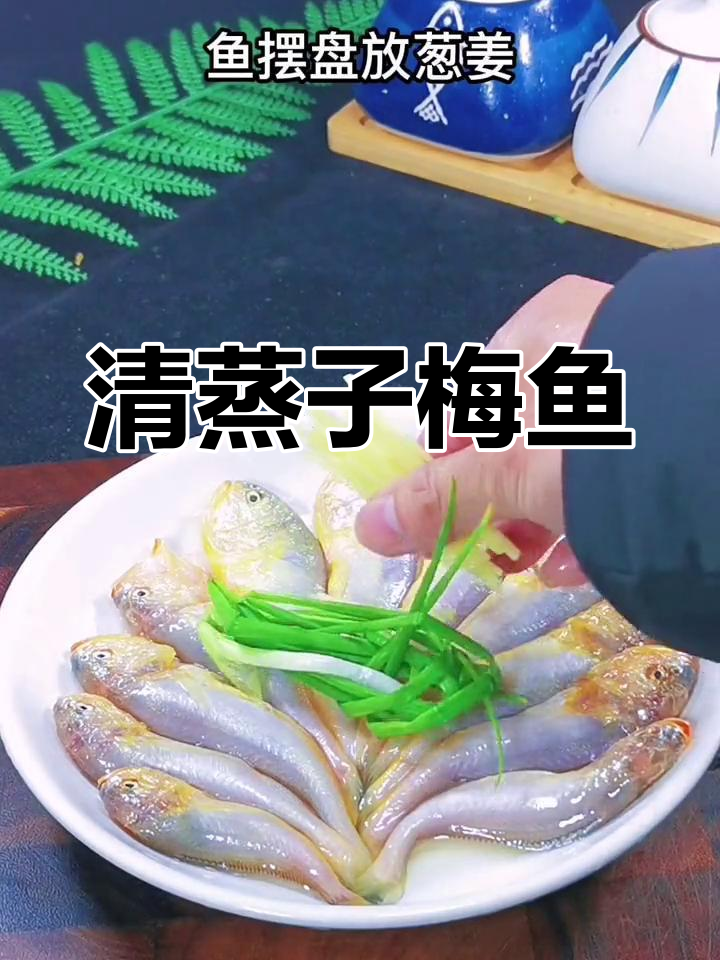 温州清蒸子梅鱼,鲜美无腥