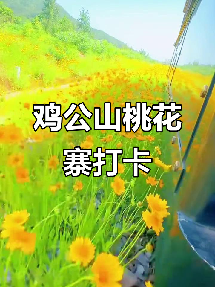 河南鸡公山桃花寨:小众宝藏景点,治愈系风景打卡地