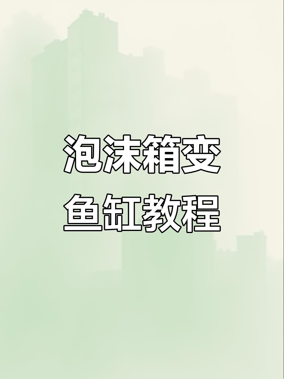 泡沫箱改造鱼缸,步骤全解析!