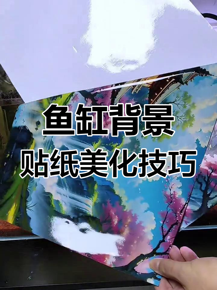 鱼缸贴纸让你的水族箱更美观,静电吸附不伤玻璃