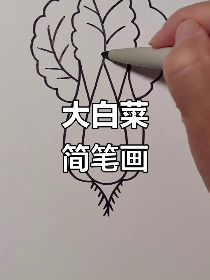 轻松学画大白菜,简单又有趣