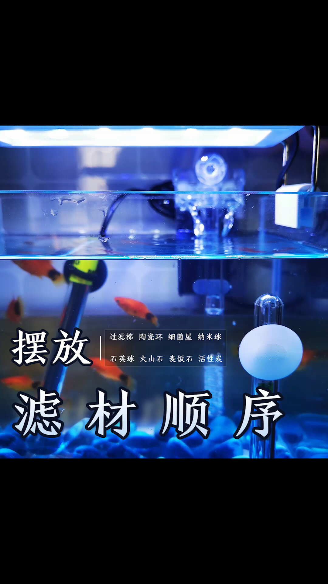 新手养鱼,先看懂滤材,摆放顺序很重要