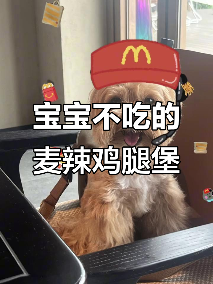 麦当劳点餐小插曲,宝宝不吃辣汉堡