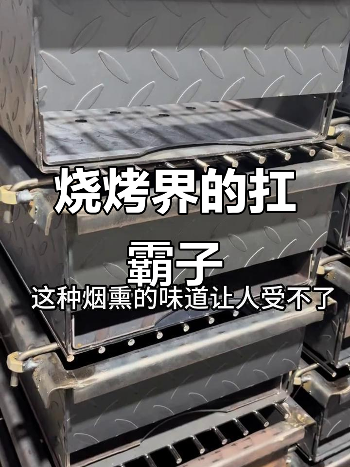 烟熏炭烤美味,鱼肉青菜都能轻松搞定