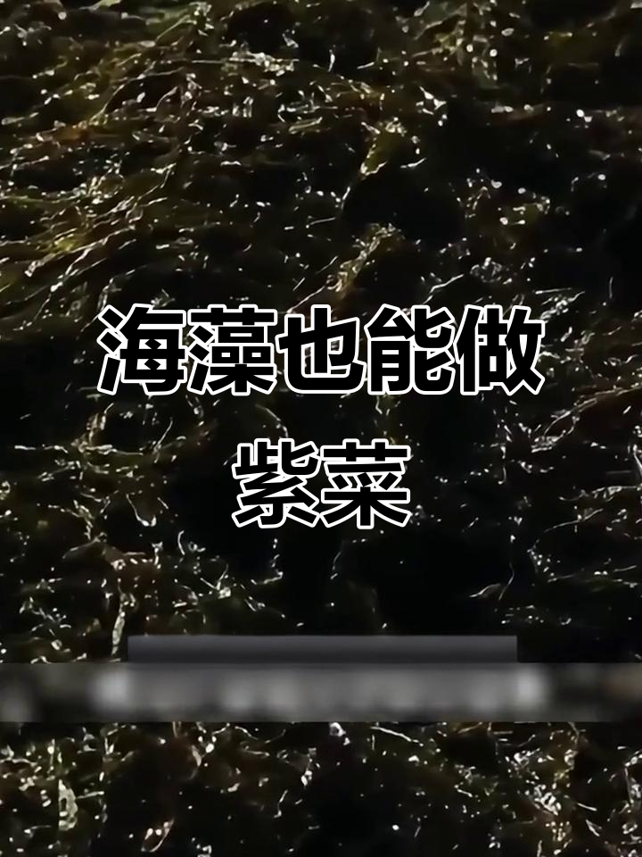 紫菜原来是海藻,不同海域生长的品种大揭秘