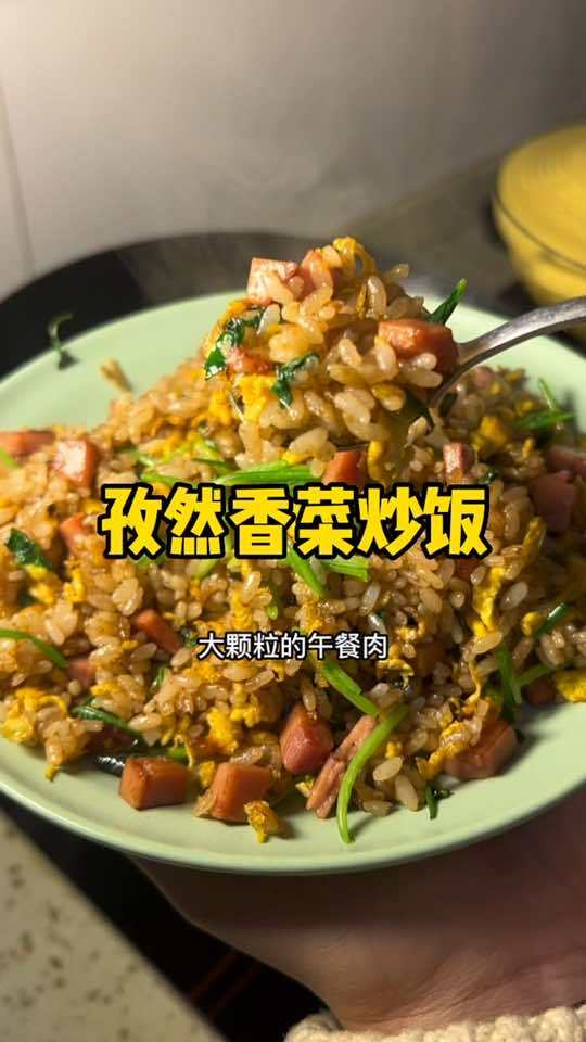 孜然香菜炒饭,你们吃过吗,一盘不够炫,真的太香了 美食 炒饭
