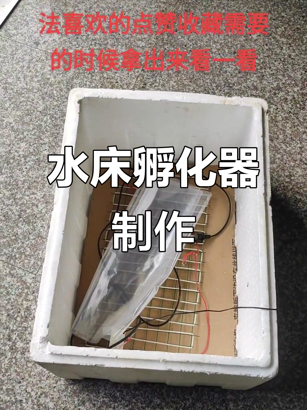 水床孵化器制作教程,轻松掌握,养殖必备!